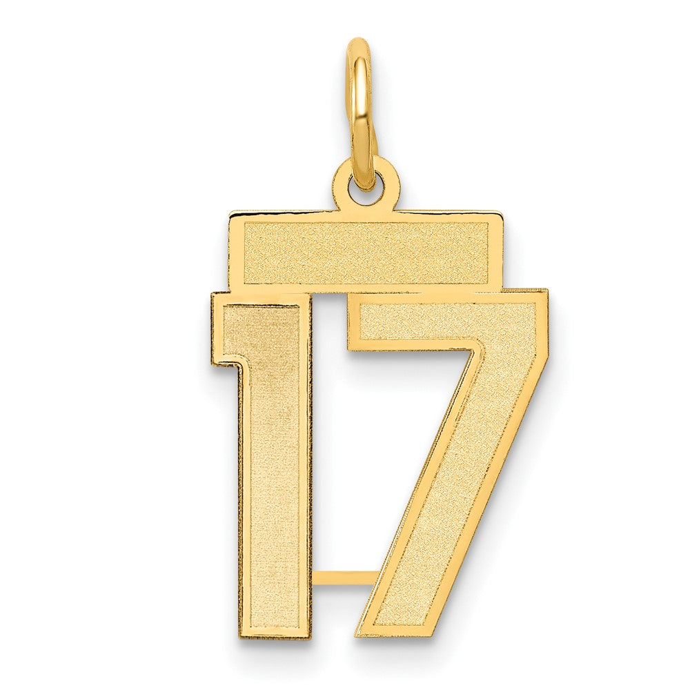 14K Gelbgold 14K Klein Satiniert Zahl 17 Charm