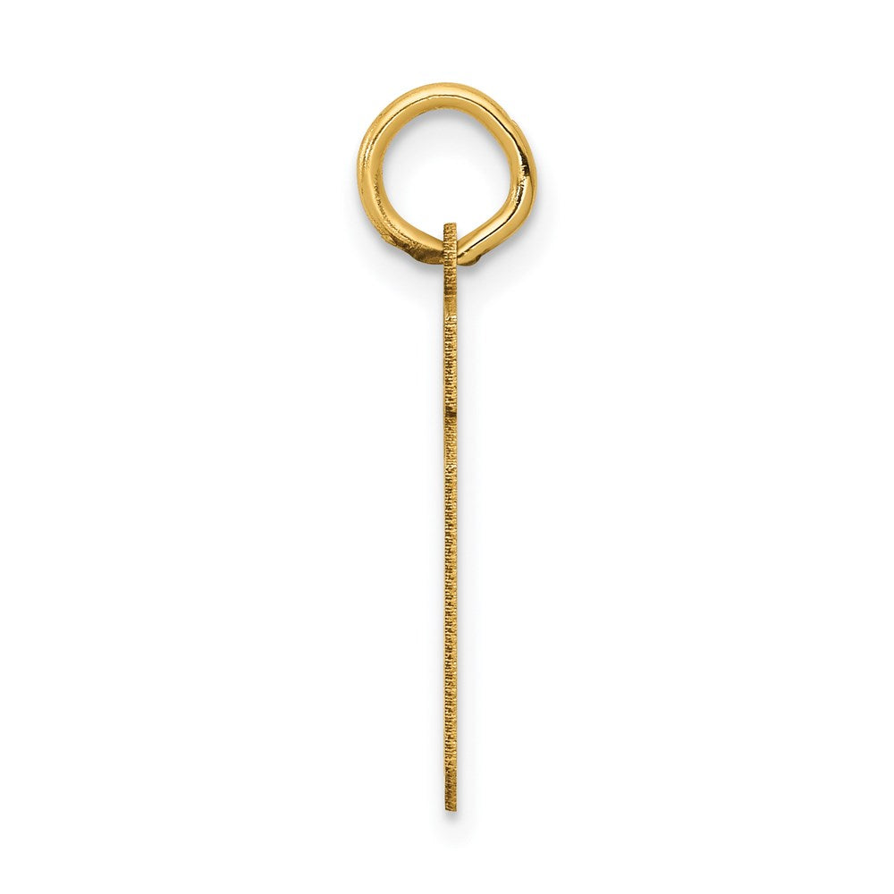 14K Gelbgold 14K Klein Satiniert Zahl 19 Charm