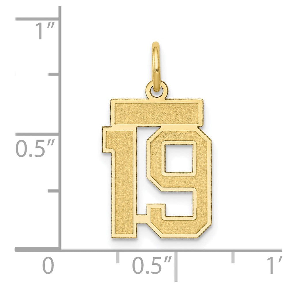 14K Gelbgold 14K Klein Satiniert Zahl 19 Charm