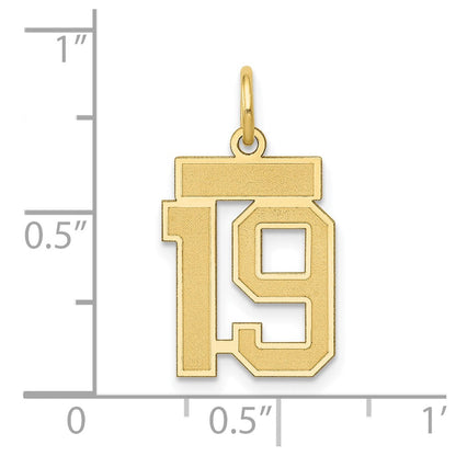 14K Gelbgold 14K Klein Satiniert Zahl 19 Charm