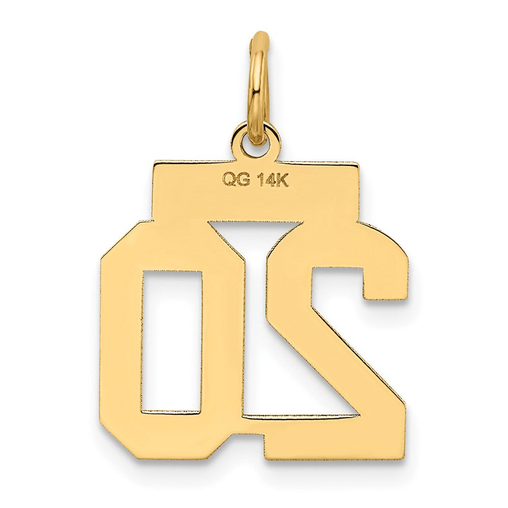 14K Gelbgold 14K Klein Satiniert Zahl 20 Charm
