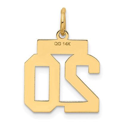 14K Gelbgold 14K Klein Satiniert Zahl 20 Charm