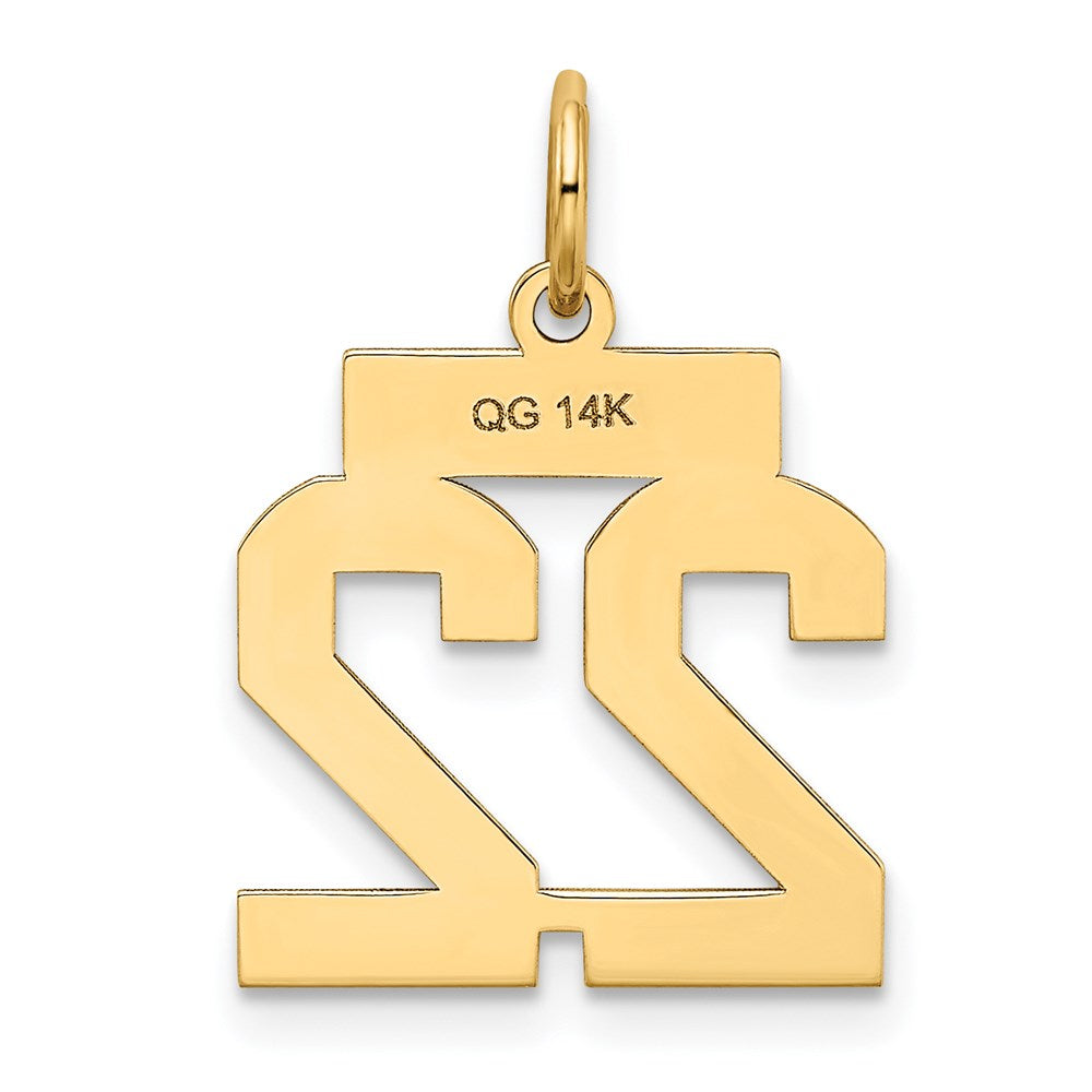 14K Gelbgold 14K Klein Satiniert Zahl 22 Charm