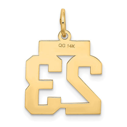 14K Gelbgold 14K Klein Satiniert Zahl 23 Charm