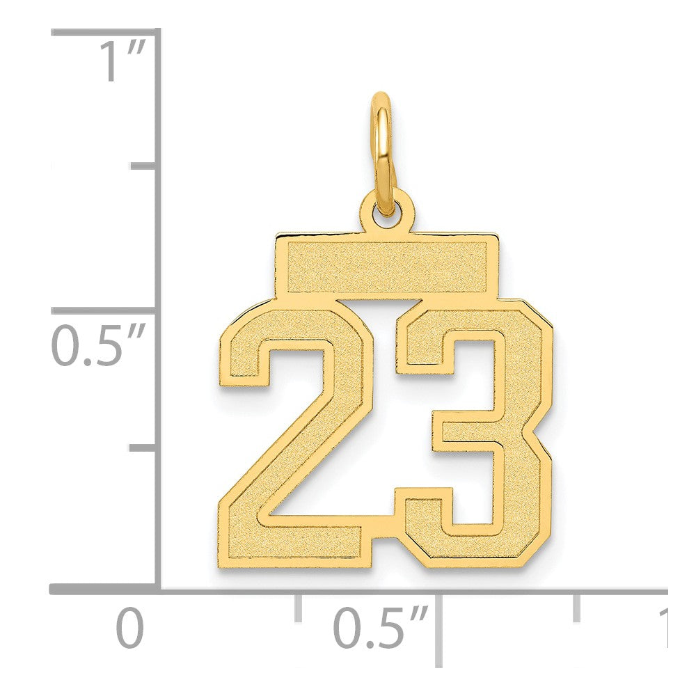 14K Gelbgold 14K Klein Satiniert Zahl 23 Charm