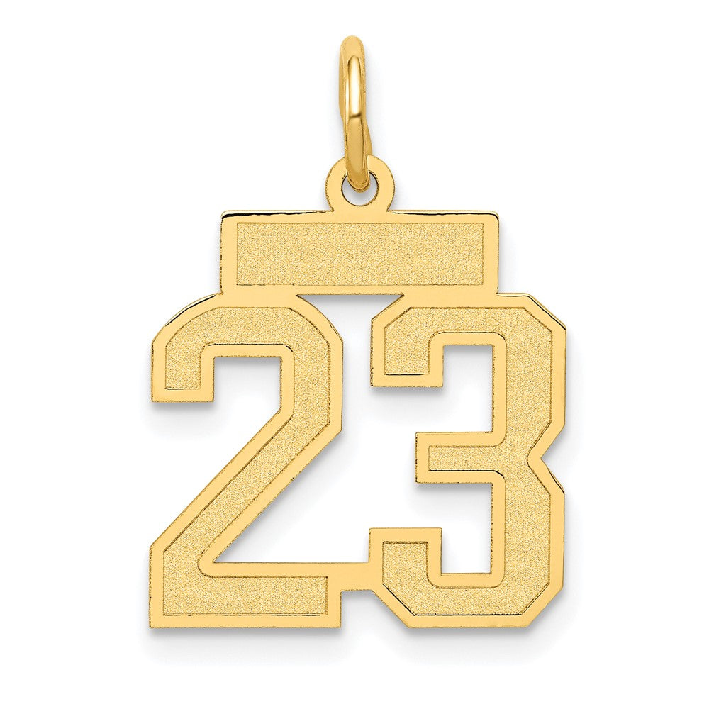 14K Gelbgold 14K Klein Satiniert Zahl 23 Charm