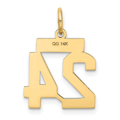 14K Gelbgold 14K Klein Satiniert Zahl 24 Charm