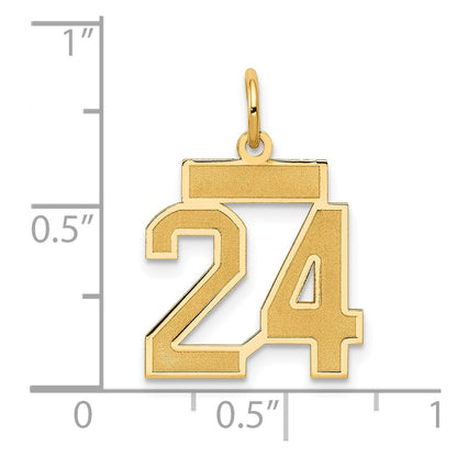 14K Gelbgold 14K Klein Satiniert Zahl 24 Charm