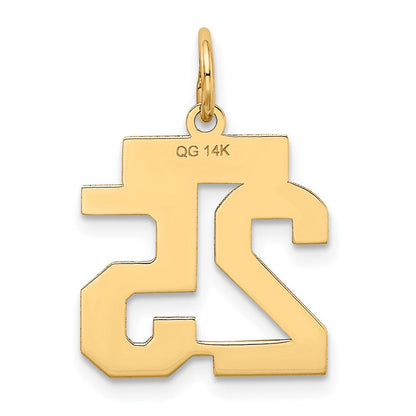 14K Gelbgold 14K Klein Satiniert Zahl 25 Charm