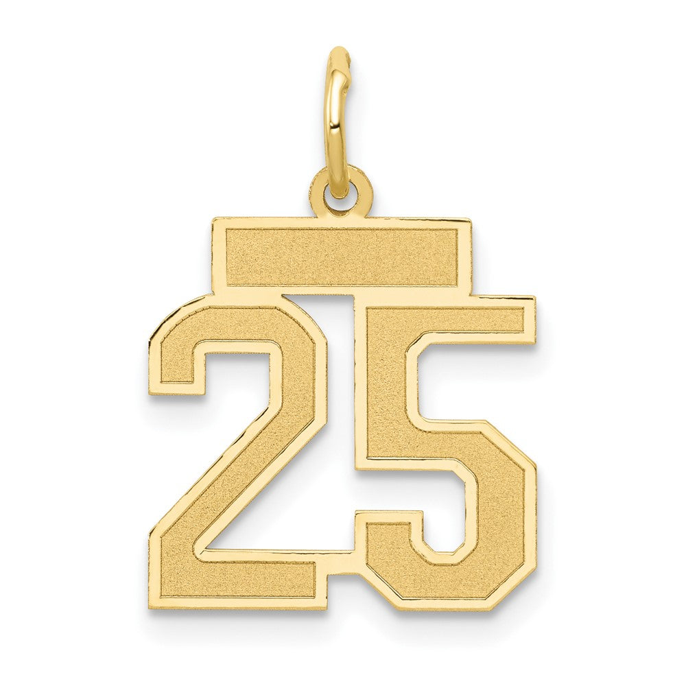 14K Gelbgold 14K Klein Satiniert Zahl 25 Charm
