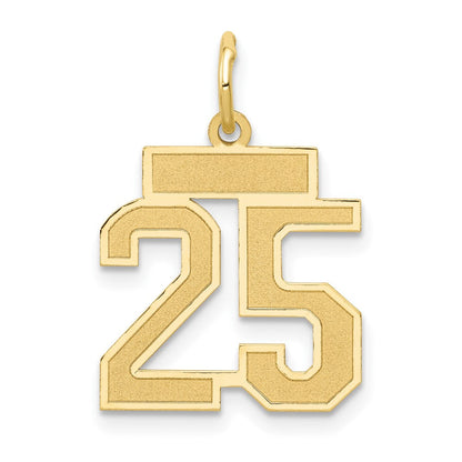 14K Gelbgold 14K Klein Satiniert Zahl 25 Charm