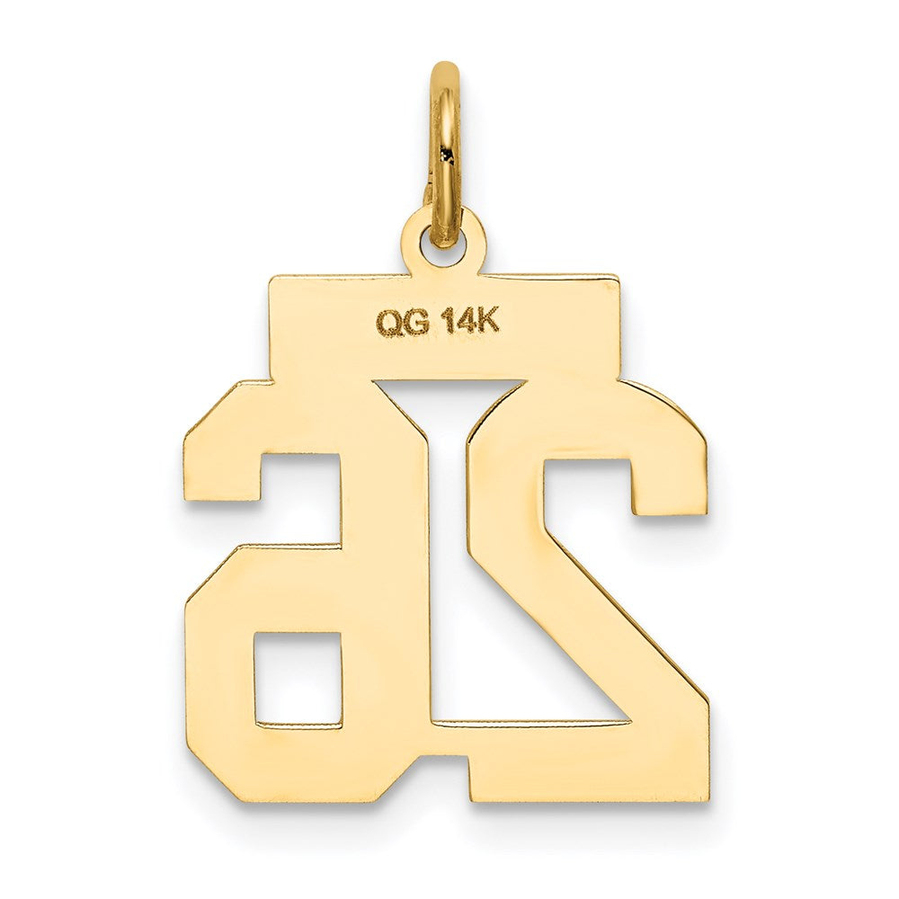 14K Gelbgold 14K Klein Satiniert Zahl 26 Charm