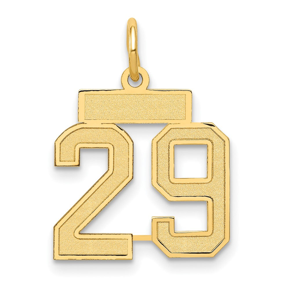 14K Gelbgold 14K Klein Satiniert Zahl 29 Charm