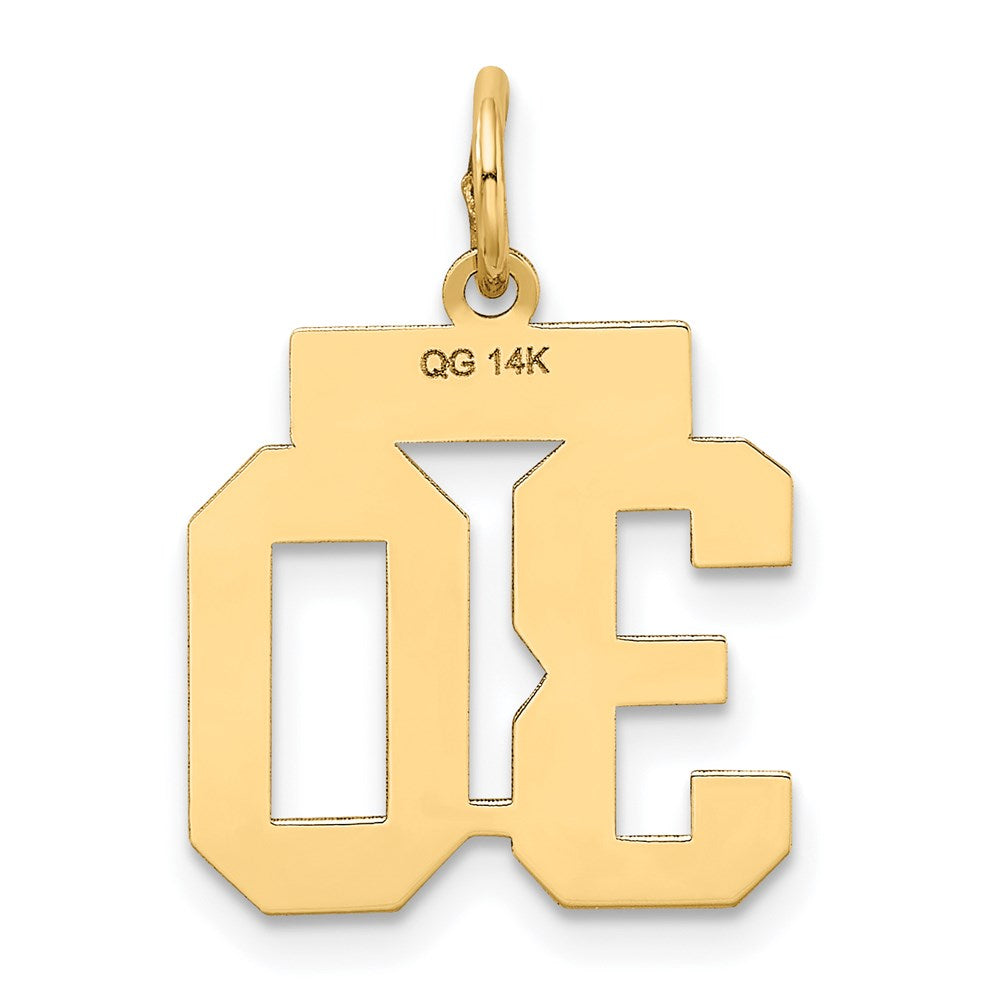 14K Gelbgold 14K Klein Satiniert Zahl 30 Charm
