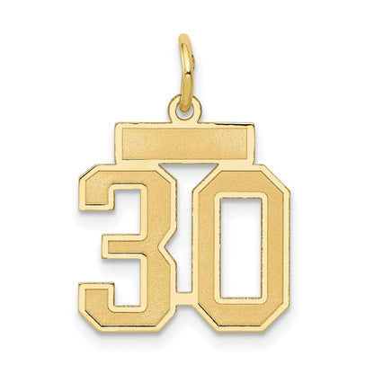 14K Gelbgold 14K Klein Satiniert Zahl 30 Charm