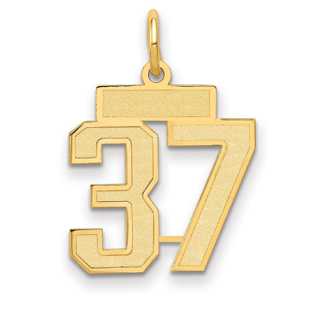 14K Gelbgold Klein Satiniert Zahl 37 Charm
