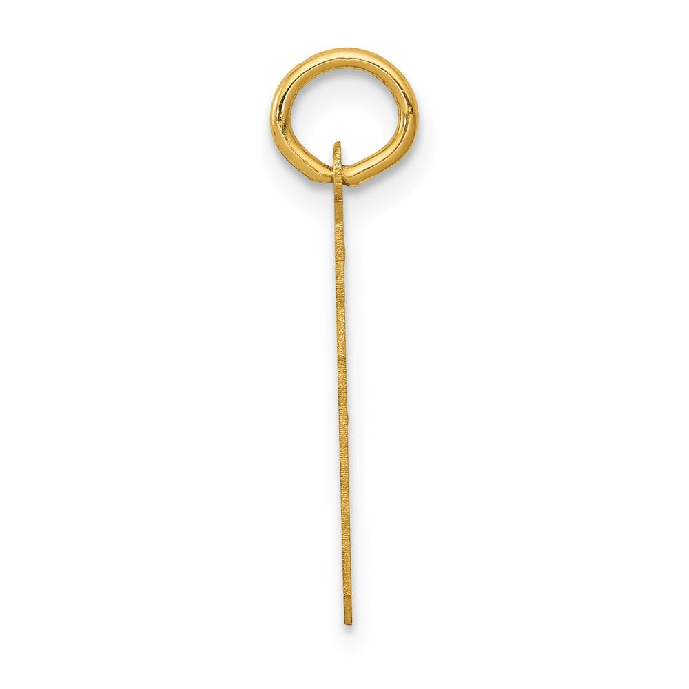 14K Gelbgold Klein Satiniert Zahl 39 Charm