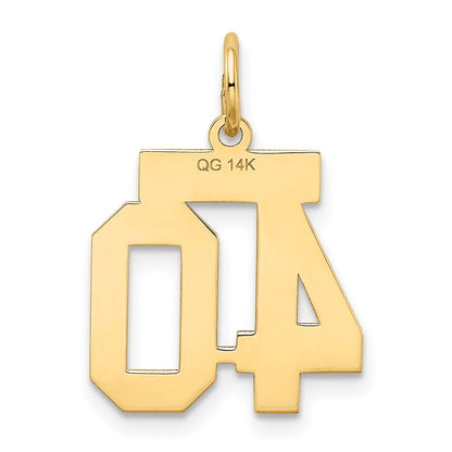 14K Gelbgold 14K Klein Satiniert Zahl 40 Charm