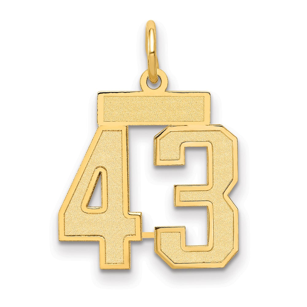 14K Gelbgold Klein Satiniert Zahl 43 Charm