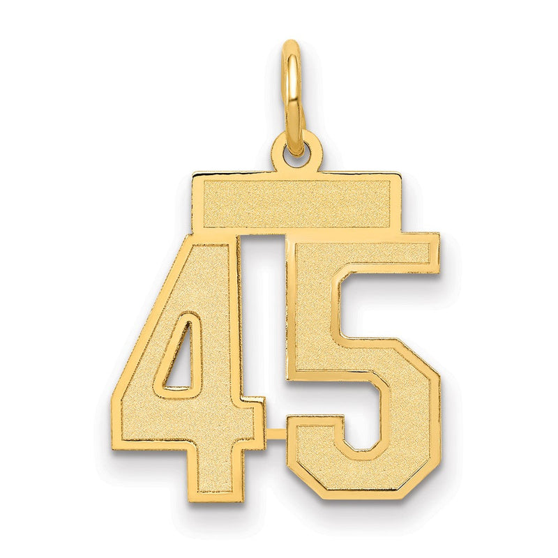 14K Gelbgold 14K Klein Satiniert Zahl 45 Charm