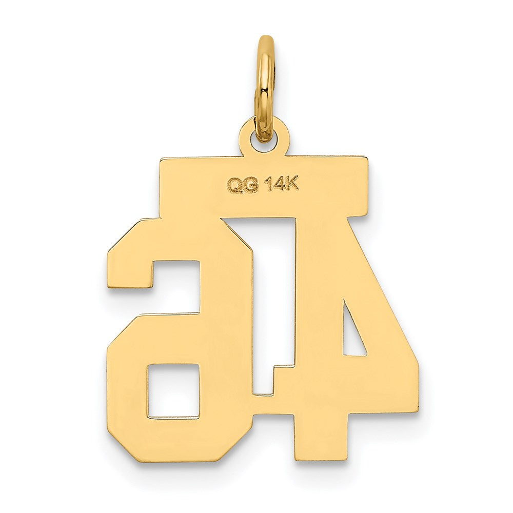 14K Gelbgold Klein Satiniert Zahl 46 Charm