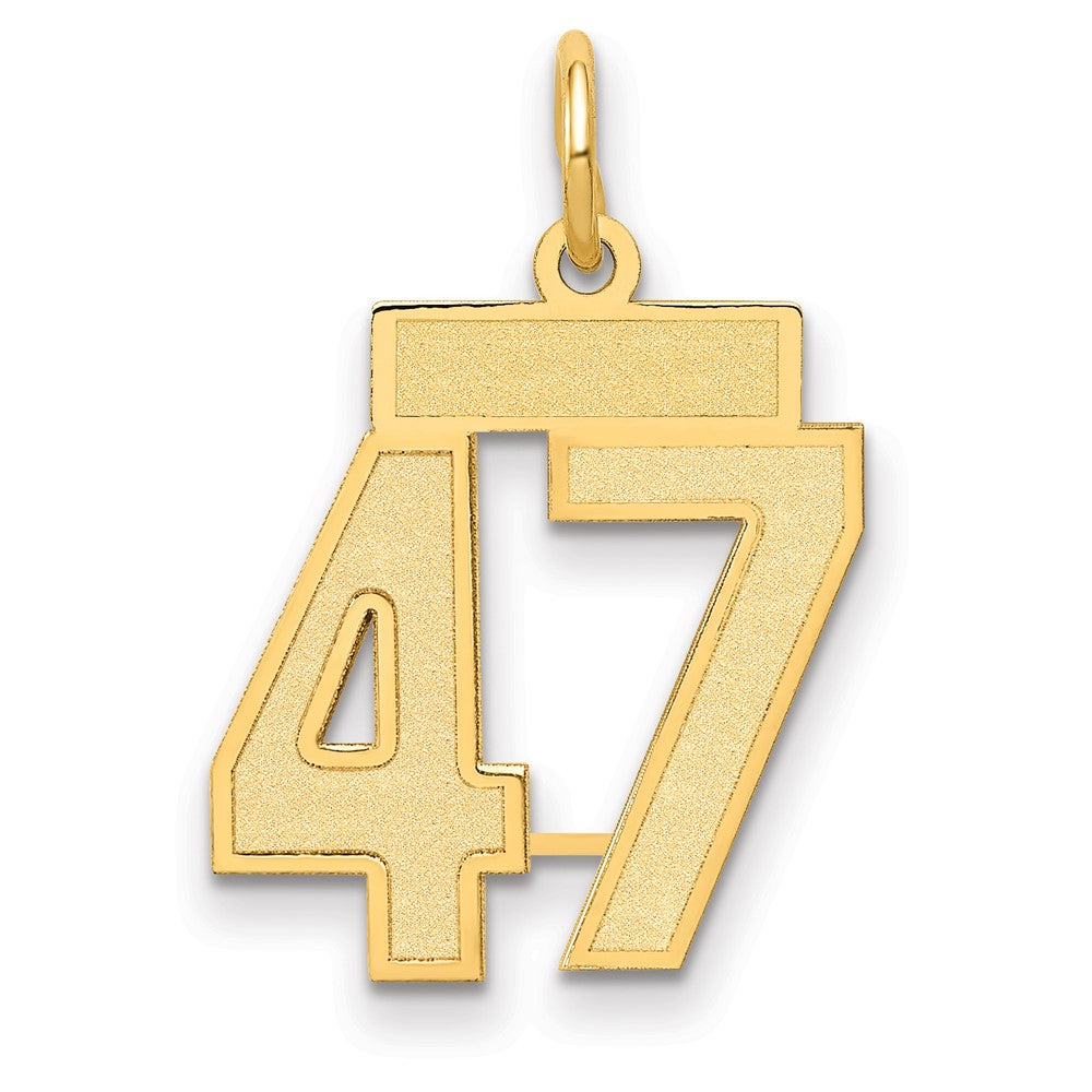 14K Gelbgold 14K Klein Satiniert Zahl 47 Charm