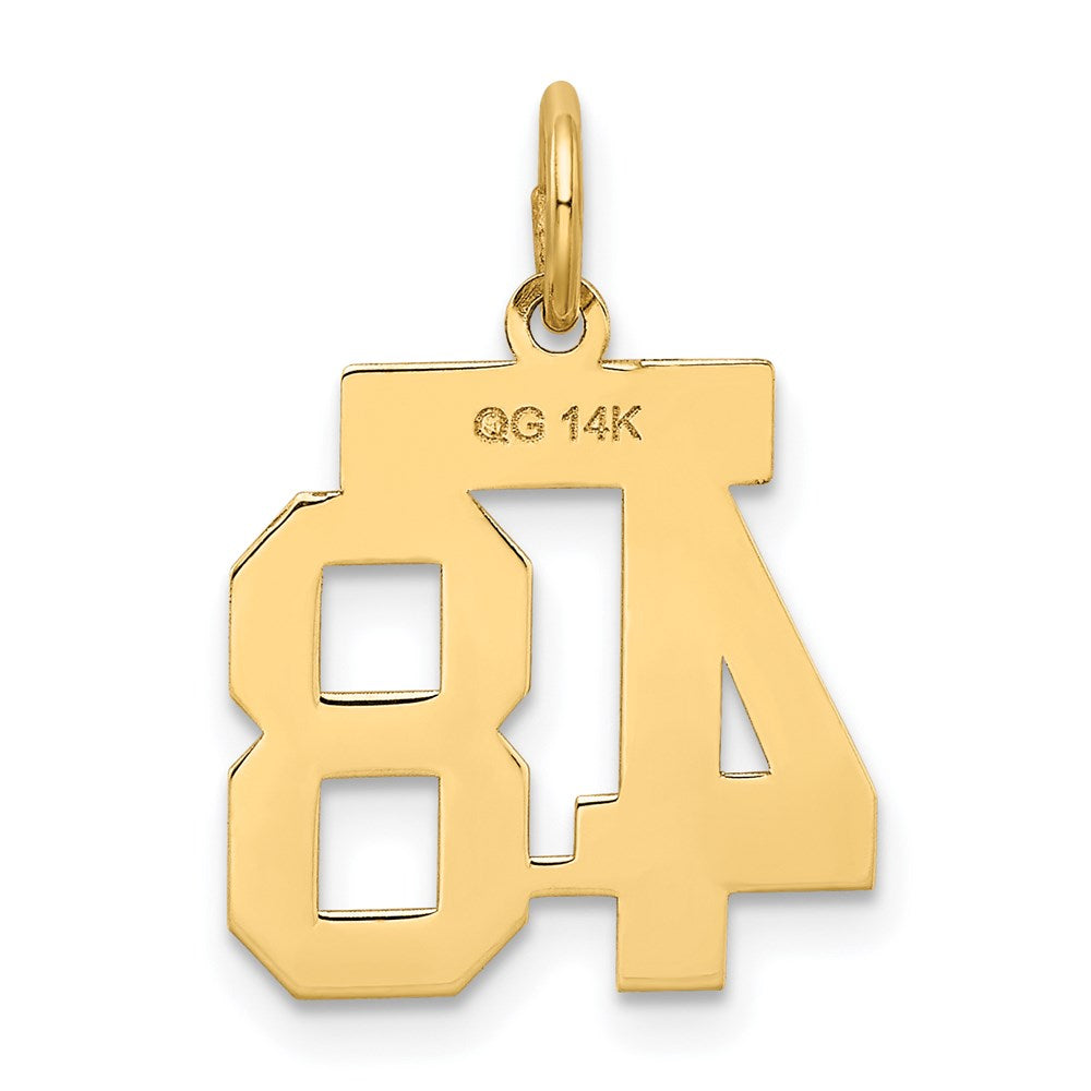 14K Gelbgold Klein Satiniert Zahl 48 Charm