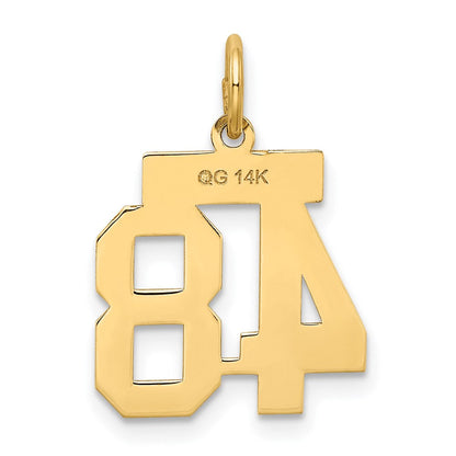 14K Gelbgold Klein Satiniert Zahl 48 Charm