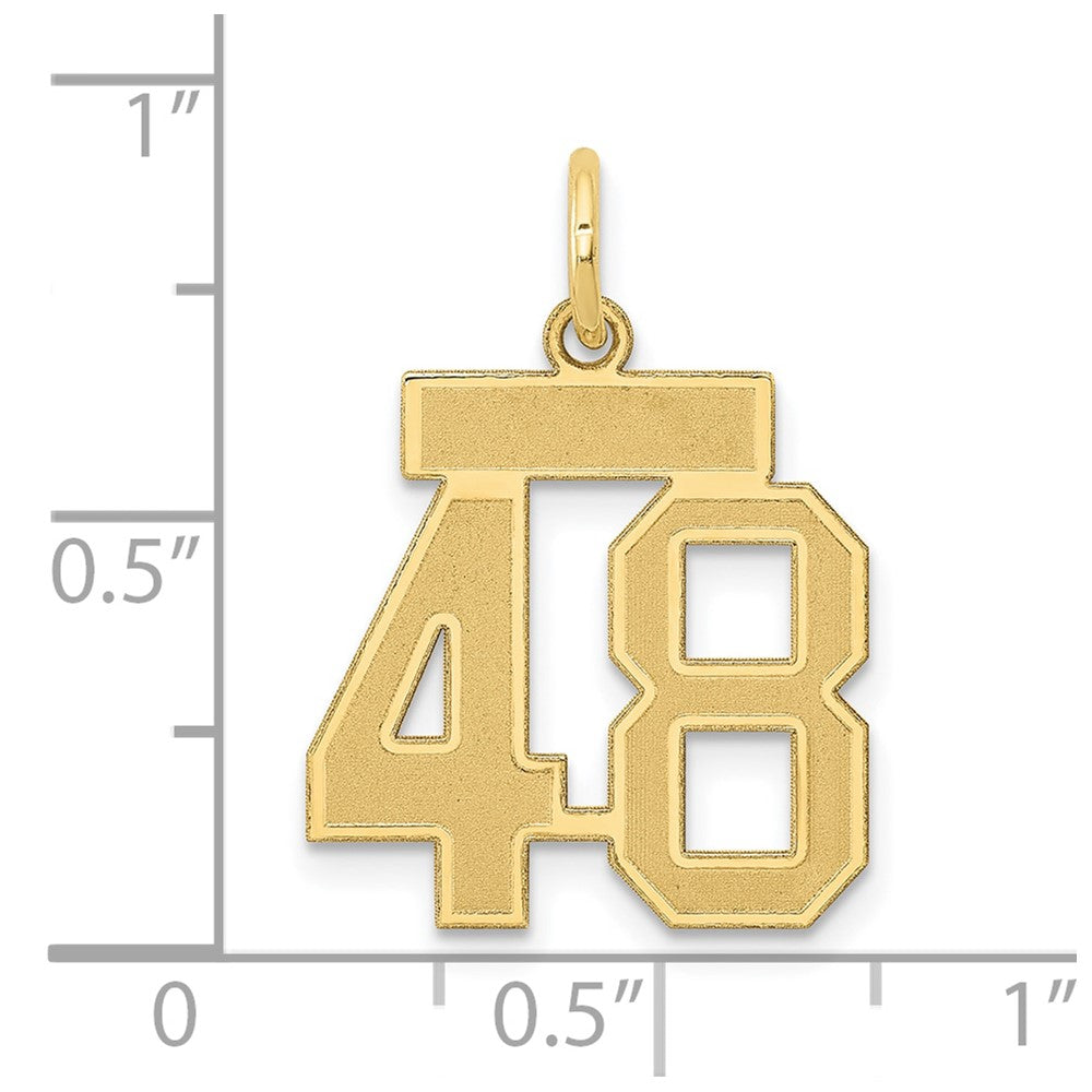14K Gelbgold Klein Satiniert Zahl 48 Charm