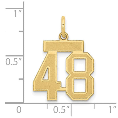 14K Gelbgold Klein Satiniert Zahl 48 Charm