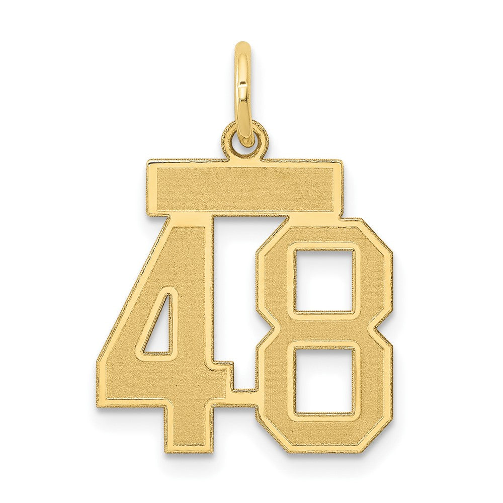 14K Gelbgold Klein Satiniert Zahl 48 Charm