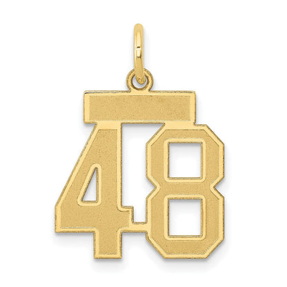 14K Gelbgold Klein Satiniert Zahl 48 Charm