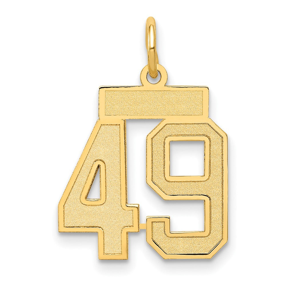 14K Gelbgold Klein Satiniert Zahl 49 Charm