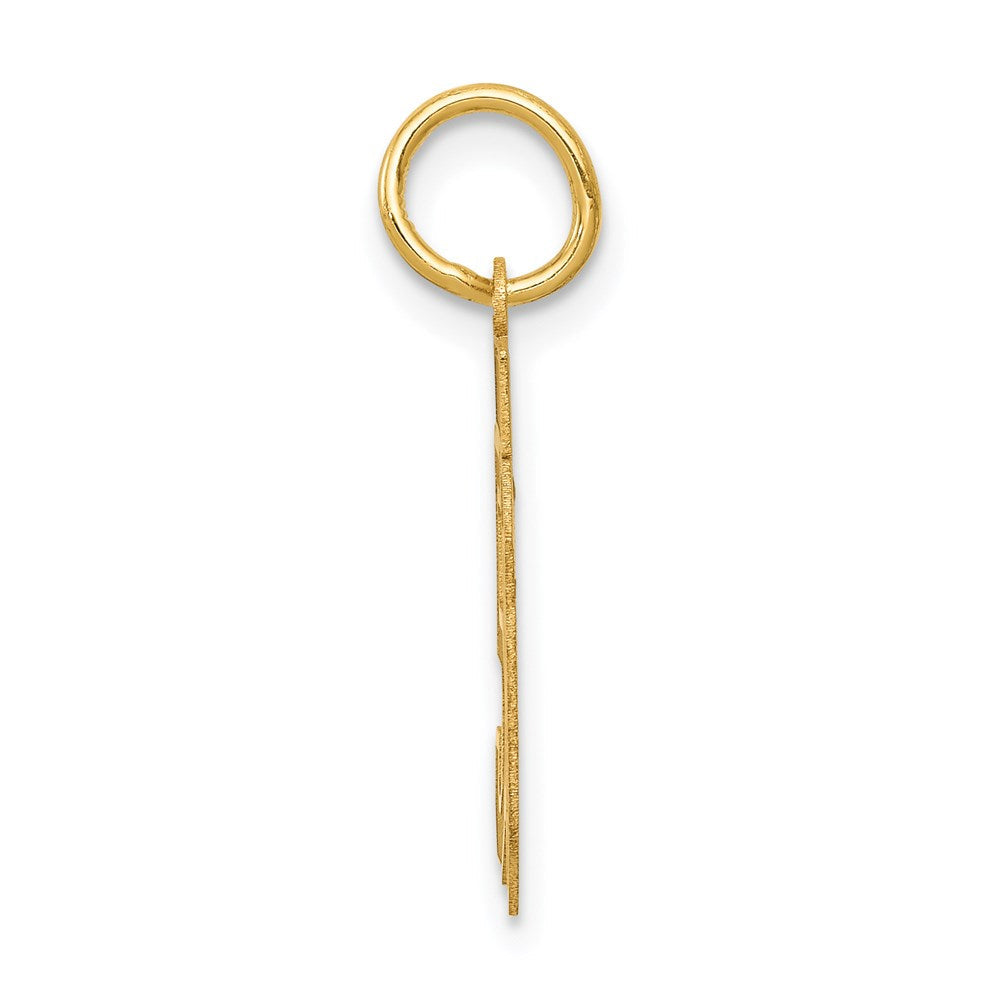 14K Gelbgold Klein Satiniert Zahl 50 Charm
