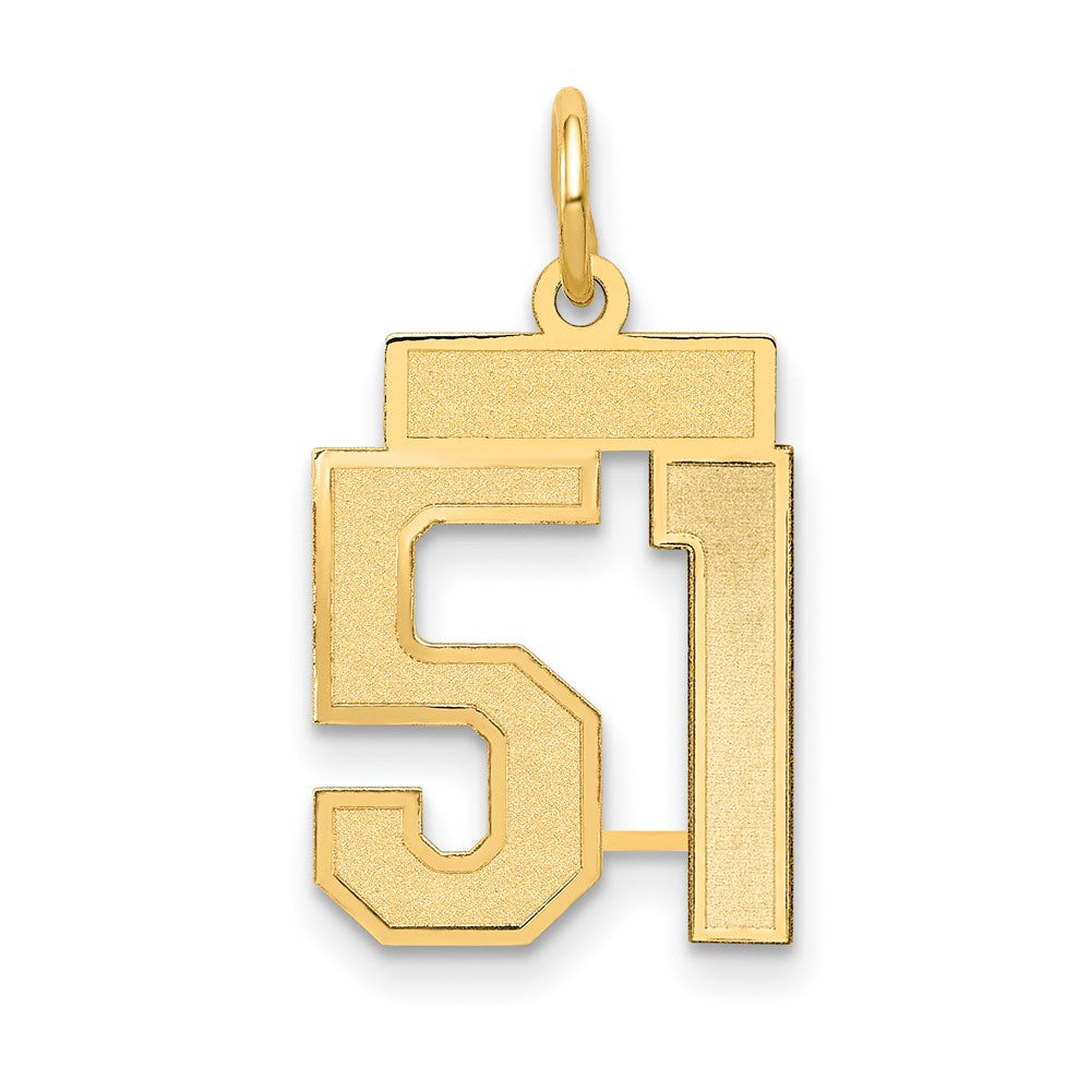 14K Gelbgold 14K Klein Satiniert Zahl 51 Charm