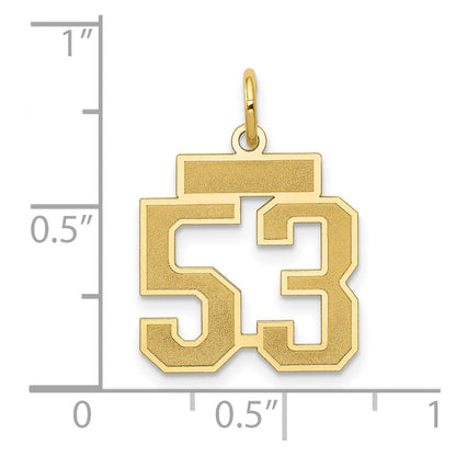 14K Gelbgold Klein Satiniert Zahl 53 Charm
