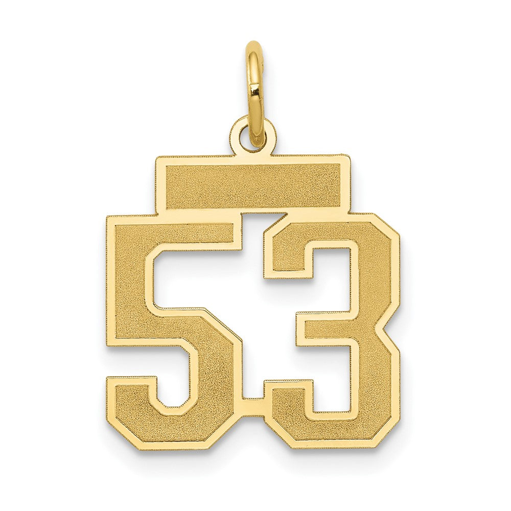 14K Gelbgold Klein Satiniert Zahl 53 Charm