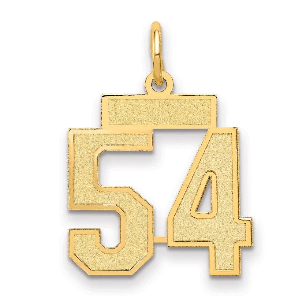 14K Gelbgold Klein Satiniert Zahl 54 Charm