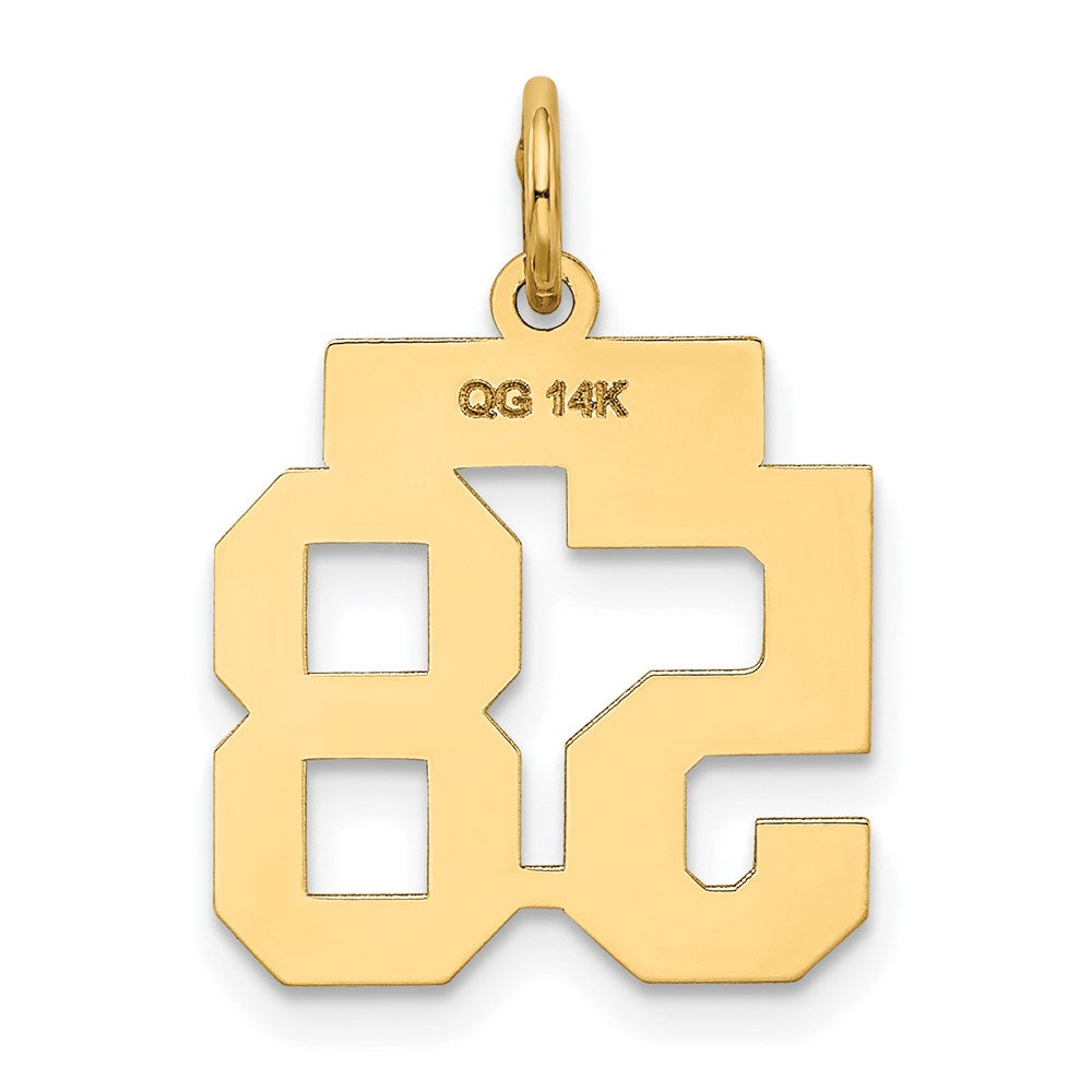 14K Gelbgold 14K Klein Satiniert Zahl 58 Charm