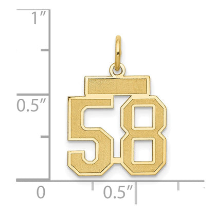 14K Gelbgold 14K Klein Satiniert Zahl 58 Charm