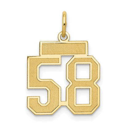 14K Gelbgold 14K Klein Satiniert Zahl 58 Charm
