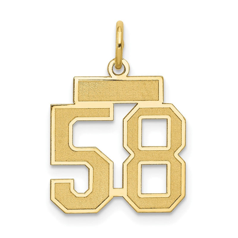 14K Gelbgold 14K Klein Satiniert Zahl 58 Charm