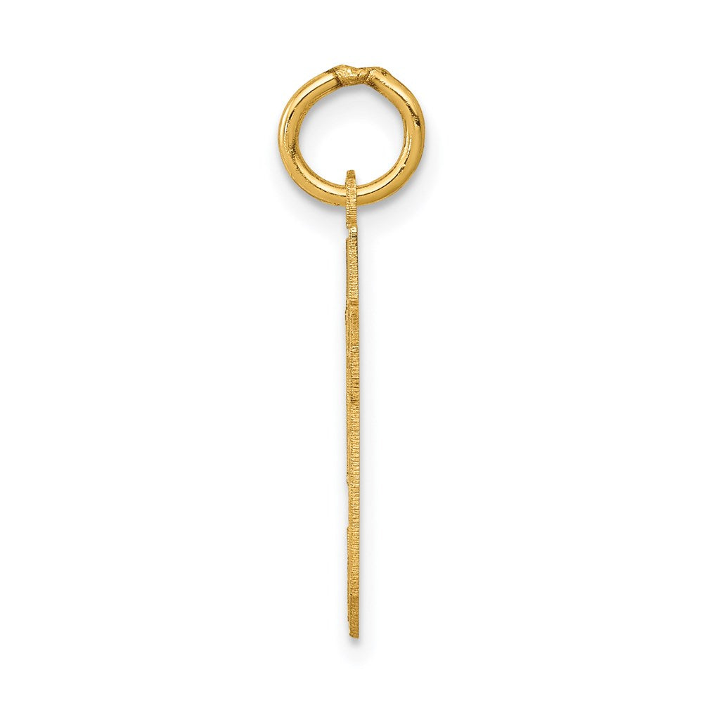 14K Gelbgold Klein Satiniert Zahl 59 Charm