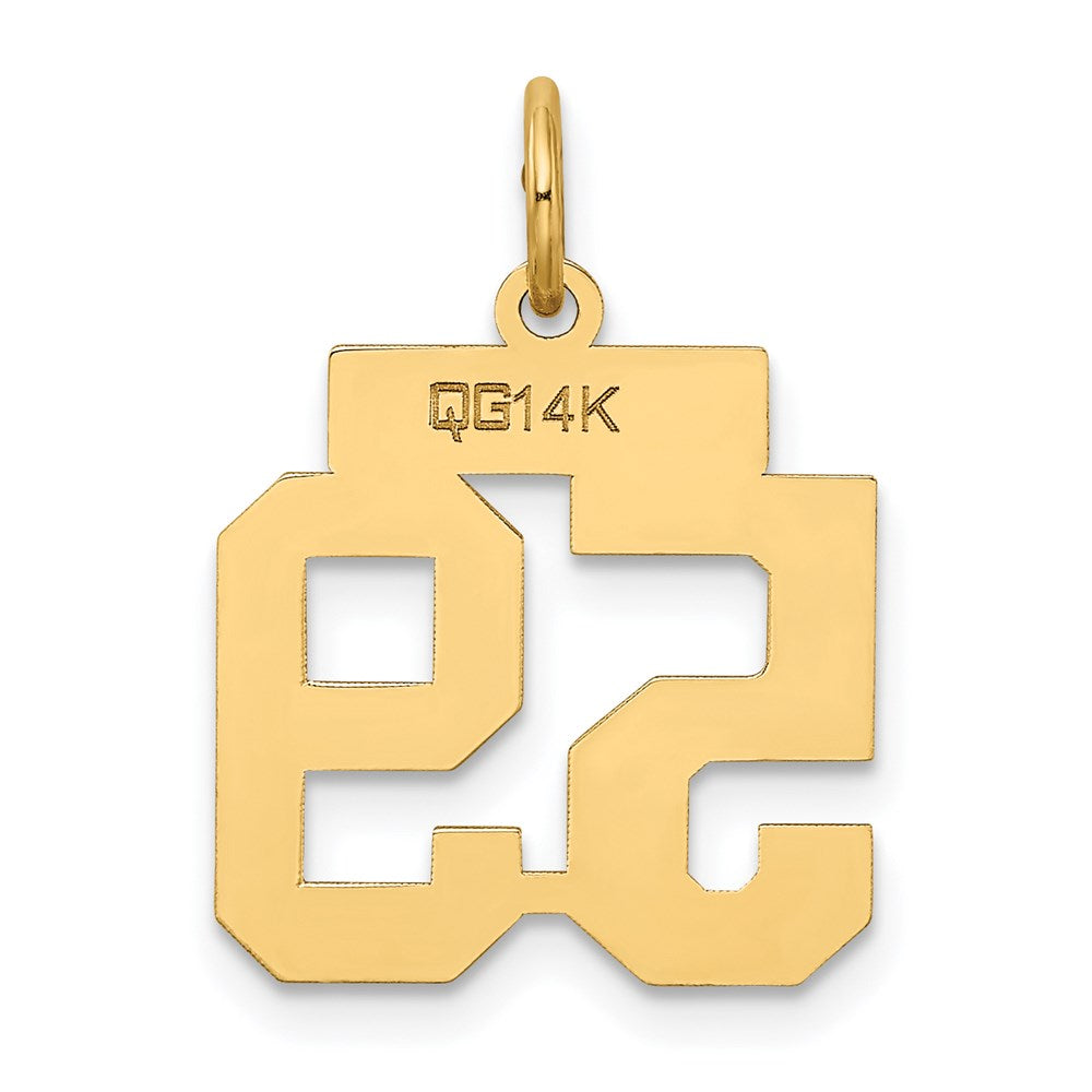 14K Gelbgold Klein Satiniert Zahl 59 Charm