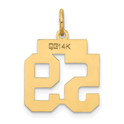 14K Gelbgold Klein Satiniert Zahl 59 Charm