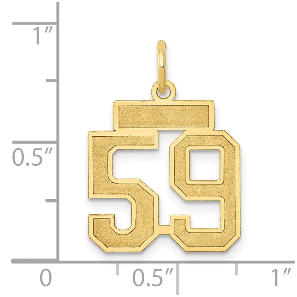 14K Gelbgold Klein Satiniert Zahl 59 Charm