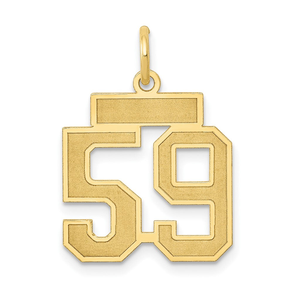 14K Gelbgold Klein Satiniert Zahl 59 Charm