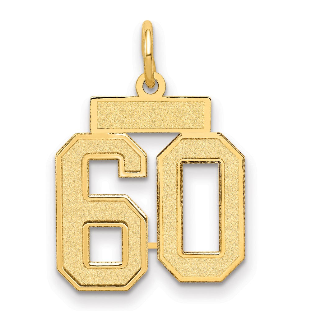 14K Gelbgold Klein Satiniert Zahl 60 Charm