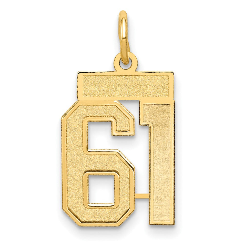 14K Gelbgold Klein Satiniert Zahl 61 Charm