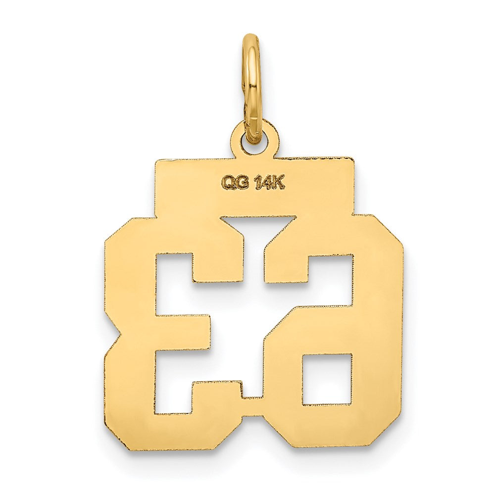 14K Gelbgold Klein Satiniert Zahl 63 Charm
